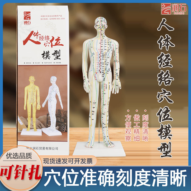 针灸人体模型医用扎针练习小皮人十二经络穴位图模特软胶扎针练习