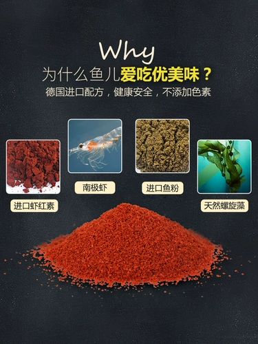 [Тигр] Тропическая мелкая рыба кормила рыбу, мелкие рыбные продукты тропические фонари для рыб