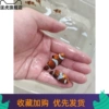 Товары от 逞虎旗舰店