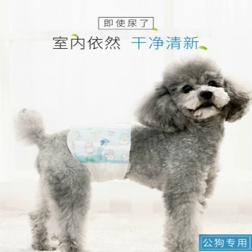 [Тигр] собачьи физиологические штаны Тедди Петки домашние животные, моча, санитарная салфетка, женские менструальные тети