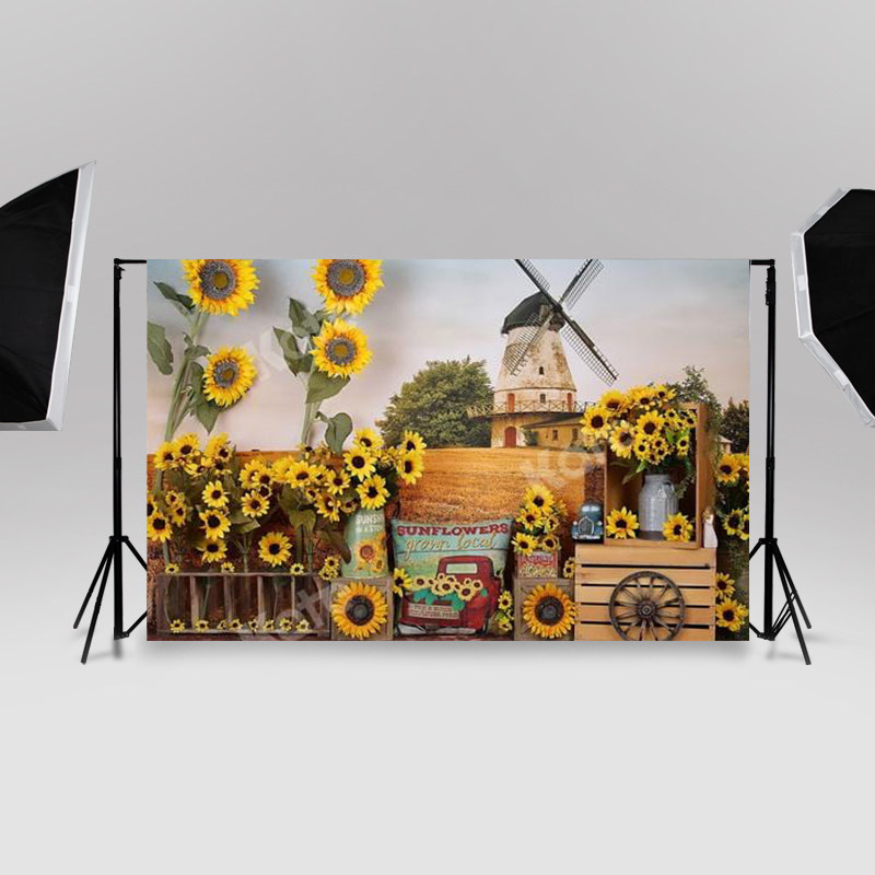 Birthday background cloth hanging cloth 2021 Write a real tennis red ins hanging cloth photo 3d Solid photo background board shot-Taobao