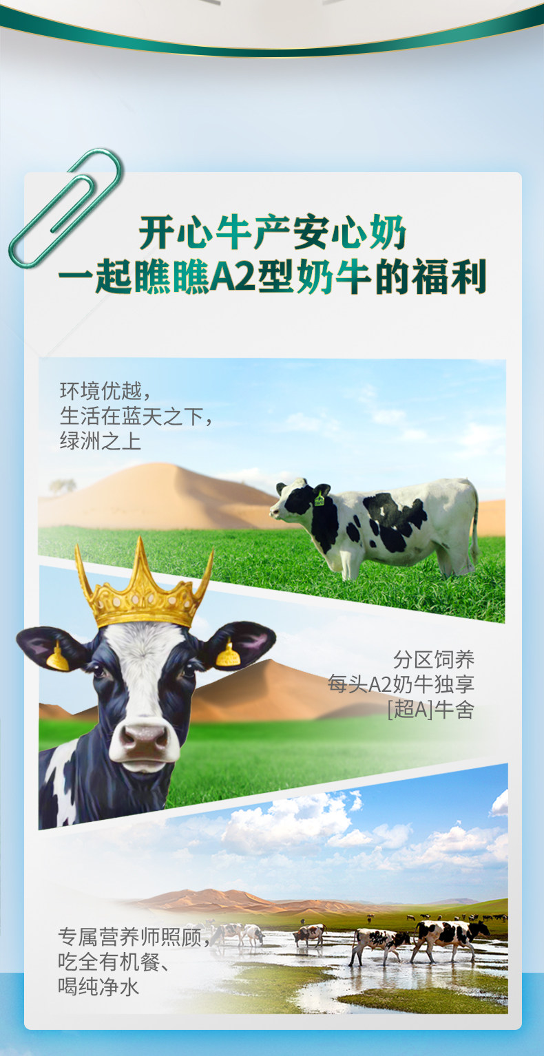 安享好物 安享A级纯奶-圣牧A2 有机纯牛奶 国标 