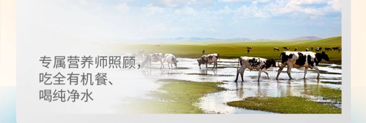 安享好物 安享A级纯奶-圣牧A2 有机纯牛奶 国标