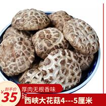 New goods Xixia super big mushroom 4 -- 5cm 500g dried mushroom Super rootless basswood mushroom