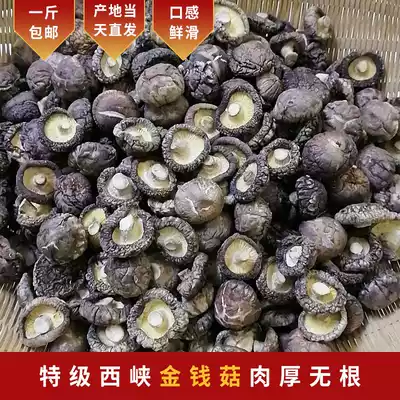 New goods Xixia Super Golden Mushroom 500 grams mushroom dried goods farm specialty basswood mushroom