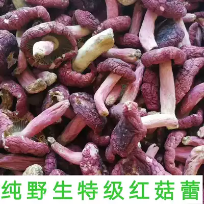 Farm authentic premium natural wild red mushroom Fujian specialty dry goods local moon mushroom 500 grams