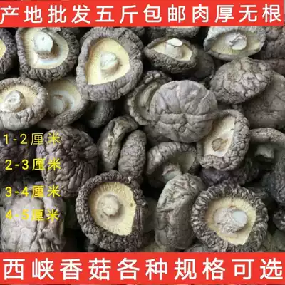 Xixia shiitake mushrooms special selection 5kg dried shiitake mushroom basswood mushroom rootless mushroom yellow braised chicken catering commercial