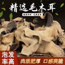 White-backed hairy fungus rootless thick meat large slices of hairy fungus dry goods 500g bag super wild crispy Wood