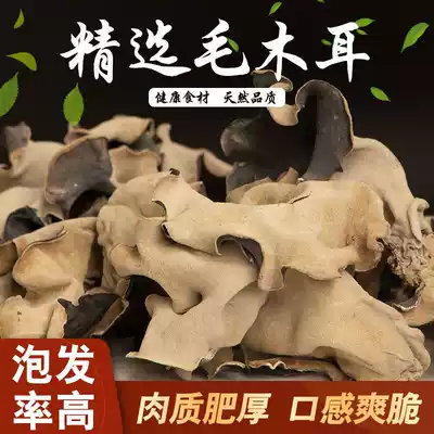 White-backed hairy fungus rootless thick meat large slices of hairy fungus dry goods 500g bag super wild crispy Wood
