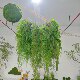 Artificial Hanging Plants, Hanging Green Plants for Landscaping, Persian Leaves, Air Plants, Hanging Vine Decorations for Shopping Malls and Restaurants