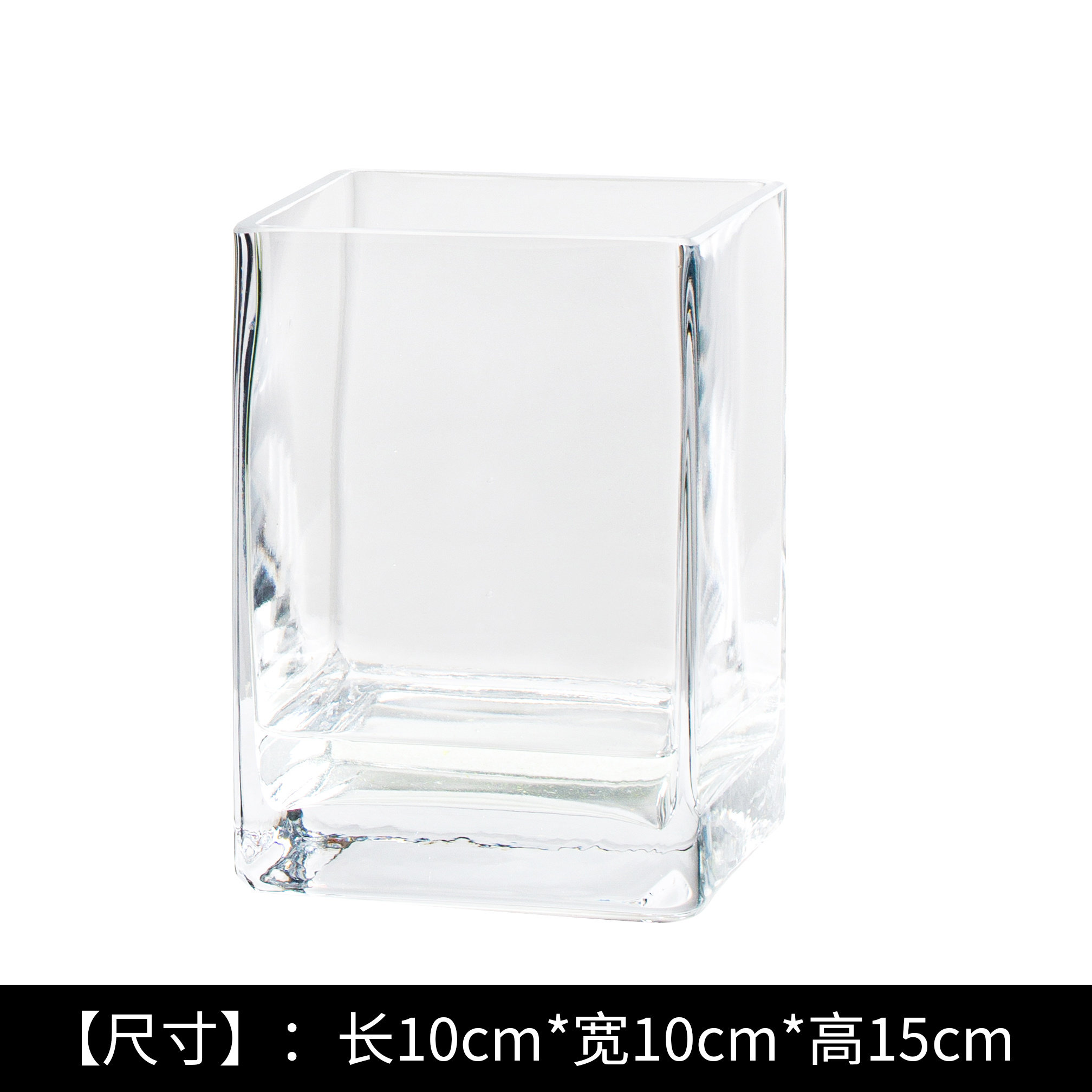 Pete Cat Simple small vase glass square table with transparent vase in European square fish tank home