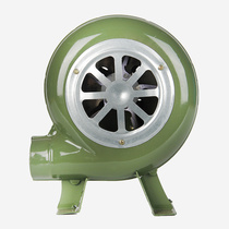 Pete cat AC current electric speed regulating blower BBQ small 220V12v blower household 100W30W6