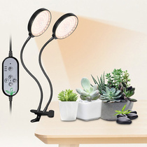 Peter Cat New LED Plant Light Full Spectrum Modeling Solar Plant Growth Lamp USB Indoor Flowers Coloring