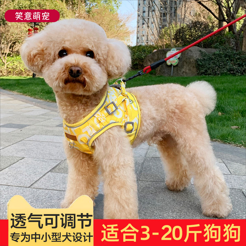 Vest-style dog traction rope teddy dog breast-holding baby bag Beauté dog Dog Rope Puppies for dogs Dog Rope Small Dogs