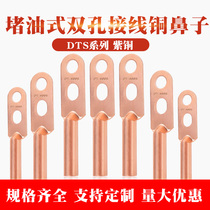  DTS double hole copper nose