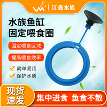 Aquatic feeders hover small non-large anti-drifting feed feeding fish food feed floating fish tank feeding rings