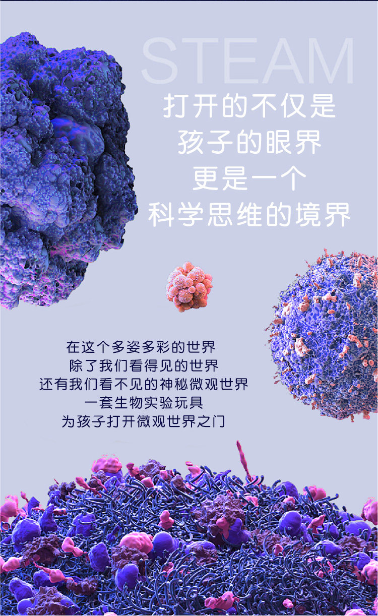Exploring Kid 探索小子 儿童显微镜 1200倍 图2