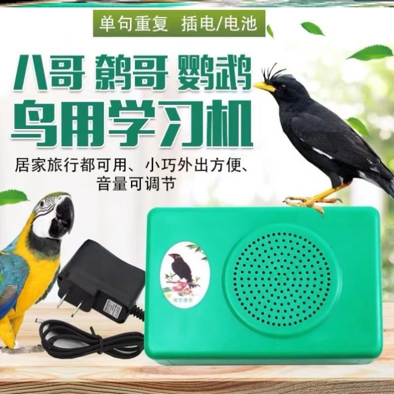 Myna bird sử dụng điện thoại để dạy myna nói, huấn luyện, học nói, học và vẹt dạy người chơi ngôn ngữ - Trình phát TV thông minh