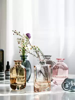 Vase glass transparent small fine mouth flower arrangement dry flower aromatherapy desktop living room ornaments home Nordic creative simplicity