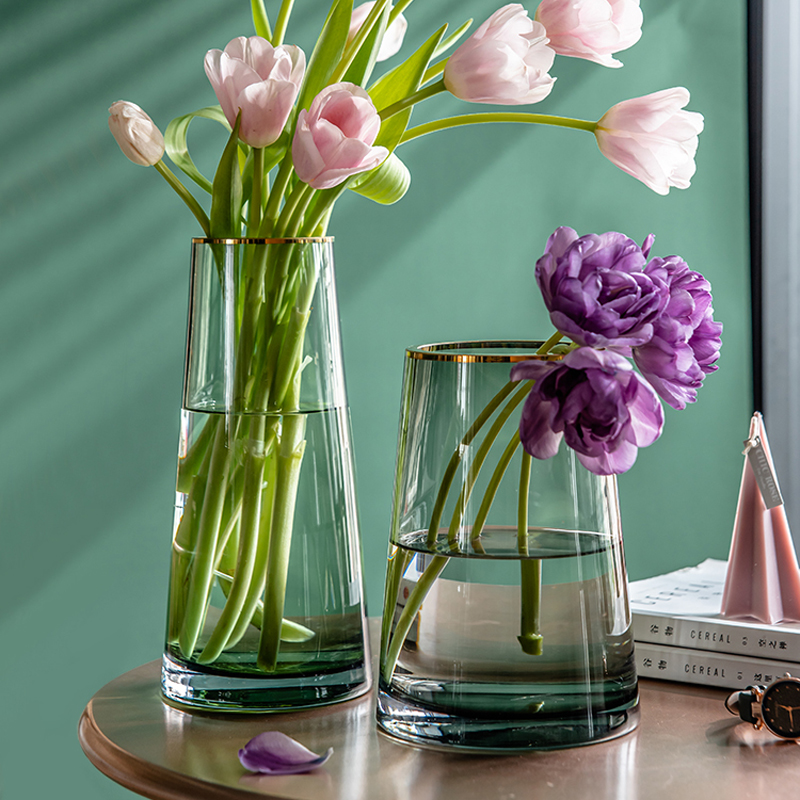 Light Extravagant Vase Hem Living Room Flower Arrangement Large Transparent Glass Hydroponic Nordic Sketching Creative Minima Red Flower Bottle