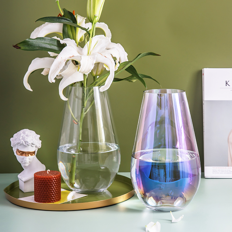 Dinosaur egg round vase glass transparent simple magic color dining table living room desktop flower arrangement flower drying flower decoration decoration