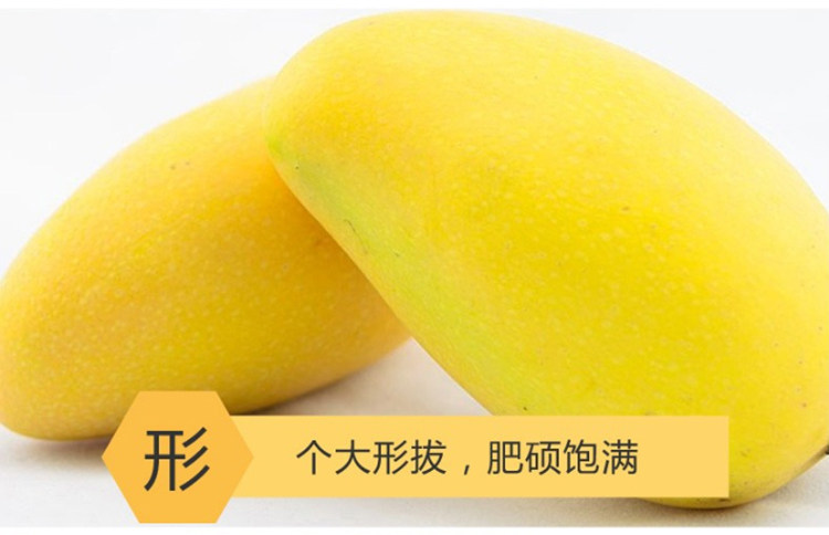 小脆猴 金煌芒大青芒  净重8斤 图1