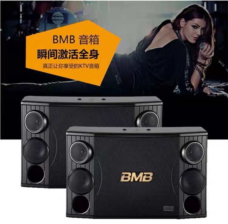 Bmb Csd-2000Csd-880 Professional Ktv Karaoke Speaker 10inch 12inch Bar Dance Studio Sound System Set