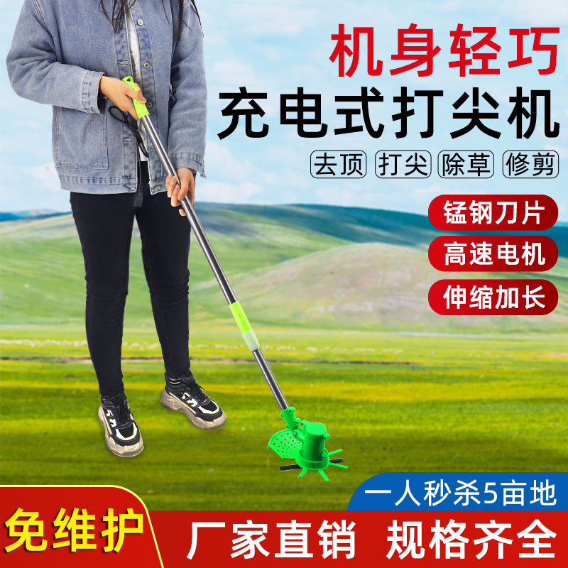 12v electric sharpening artifact grape pepper jujube tree sharpening device lychee chrysanthemum honeysuckle pinching sharpening machine