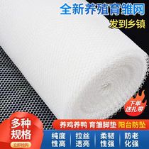 Suitable for the whole roll of plastic flat net brooding net chicken duck goose feces leakage net foot net beekeeping silkworm protection net enclosure raising