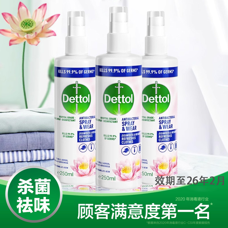 Dettol Multi-Effect Clothing Care Spray Water Lily Fragrance 250ml Deodorizing Air Freshener Shoe and Sock Deodorizer and Antibacterial