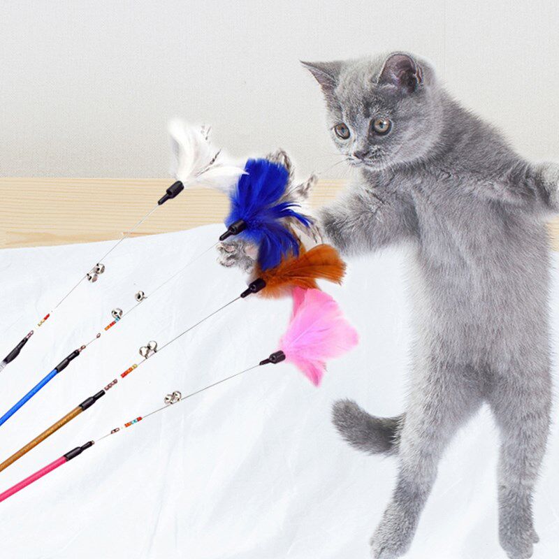 Pochnet Pet Cat Toy Fields Cat Classic Feather Flower Steel Wire Rod Teasing Cat Sticks Interactive Kitty Toys-Taobao