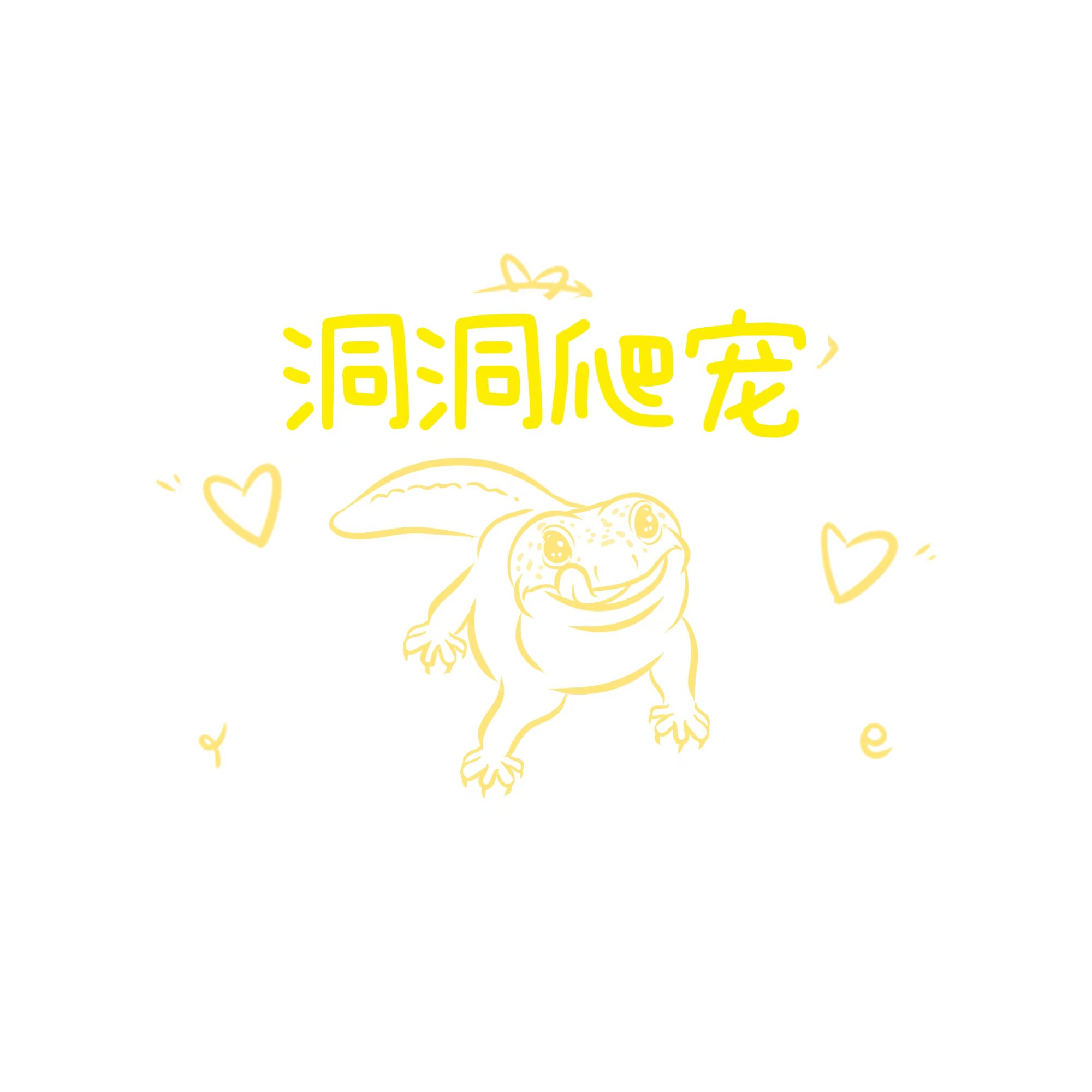 洞洞爬宠