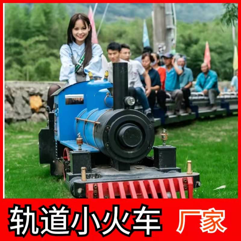 Scenic Area Farmstead Flower Sea Track Small Train With Rail Sightseeing Bus Tour Bus electric fuel Oil next year Railcar Customize