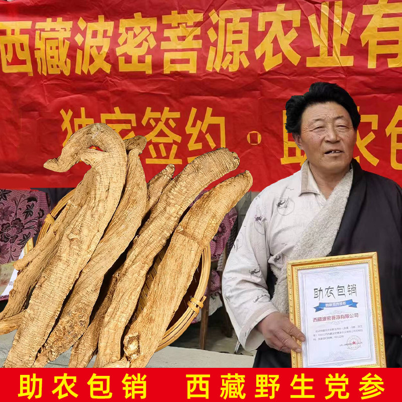 Tibet's wild party ginseng, a rough root party chamber 500g can be used as a bubble soup