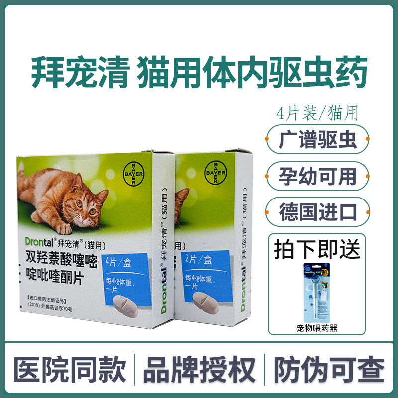 Bayer cat deworming cat-in-body insect repellent, young cat as cat uses insect repellent Germany to import kittens 