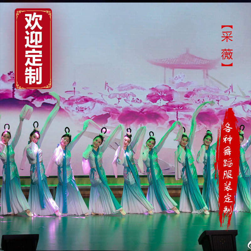 Classical Caiwei dance costumes water sleeves elegant Chinese style women's group dance Jinghong dance Confucius dance Hanfu custom