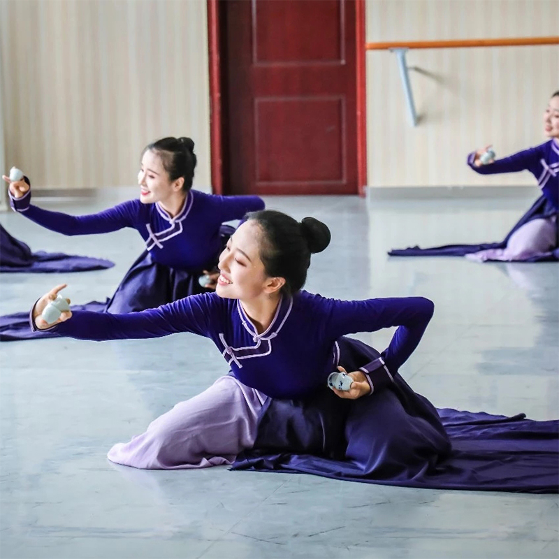 Customized Mongolian folk dance dress costumes inter-class practice practice clothes top bowl chopsticks dance art test stage costumes