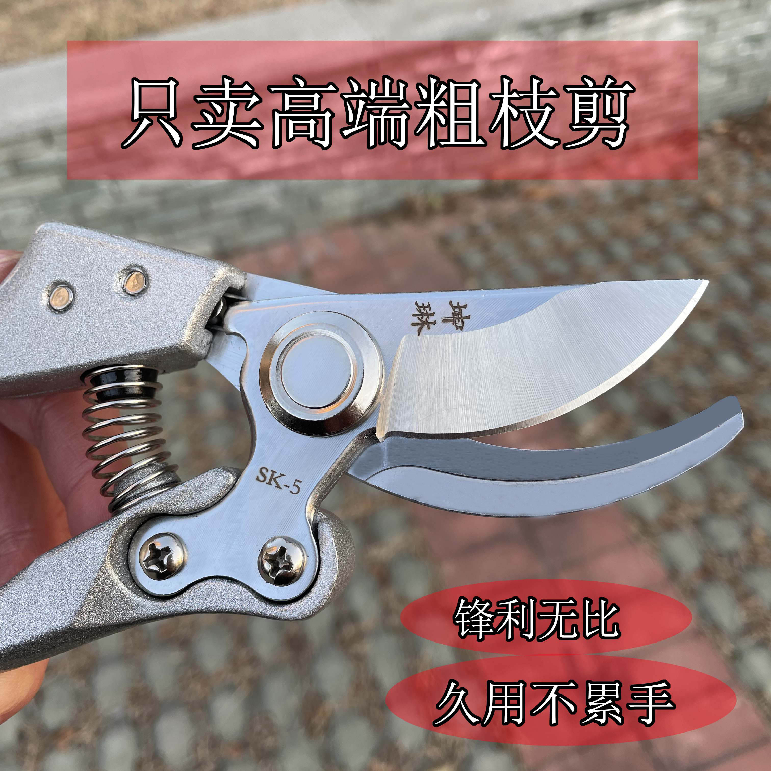 2026年德国果树修枝剪怎么选？为什么专业园艺师越来越看重黑刃+包胶结构？