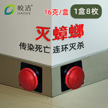 Kyaukclean cockroach drug home One cohort kill cockroach Bait Cockroach Kill Cockroach Kills Little Strong Size Thu Powerful Cockroach House Killing Powerful Cockroach House