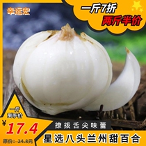 New dig Lanzhou lily fresh lilies for 9 years raw without sulphur pure edible 8 head loaded with sweet white combined Gansu special produce