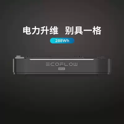 EcoFlow Zhenghao outdoor mobile power supply notebook portable camping high power battery home emergency RV