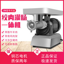 Tai Zheng Yuan Gg Meat Machine Stainless Steel Desktop Powerful Commercial High Power Twisted Frozen Meat Full Automatic Enema of Meat Clay