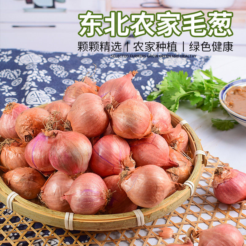 Northeast woolen farmhouse growing with fresh shallot and chopped onion and onion.