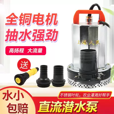 Agricultural water pump Submersible pump Pumping pump 36V machine 12V24V48V72V Electric vehicle battery car DC pump volt