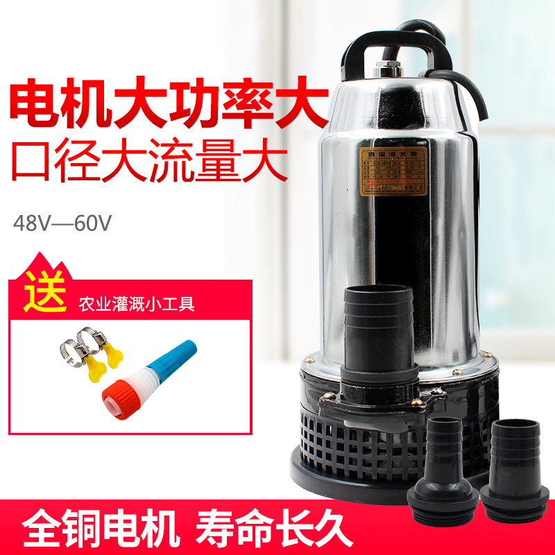 DC Submersible Pump Electric Bottle Truck Water Pump 48V60 Volt Pump High Lift Large Flow 2 Inch Pumped Pump Drainage Pump-Taobao