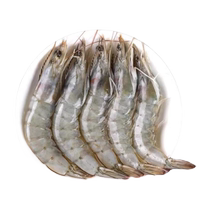 Salted Ecuadorian Prawns 20 30 Sea Shrimp Seafood Prawns