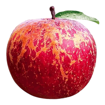 Гора Далян уродливое яблоко 5 кг свежих фруктов сезон свежих фруктов целая коробка солей Сычуань - источник красный фрукты Фудзи Пинг