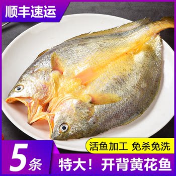Yellow croaker, fresh frozen large yellow croaker, yellow croaker, fresh ningde small yellow croaker, seafood fish, commercial fish