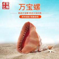 Luhai manufacturers supply conch shell crafts large Wanbao conch ornaments fortune conch and four famous conch conch