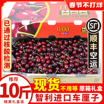 Chile cherry original box import 10 pounds gift box large fruit fresh fruit big cherry 5 whole box SF air freight